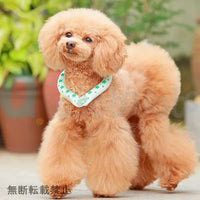【SUO RING for dogs 28°ICE】スオリングフォードッグ　28℃アイス　ボタン付