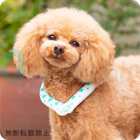 【SUO RING for dogs 28°ICE】スオリングフォードッグ　28℃アイス　ボタン付