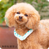 【SUO RING for dogs 28°ICE】スオリングフォードッグ　28℃アイス　ボタン付